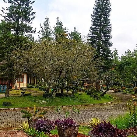 Designer Villa Tokyo Cianjur Luaran gambar