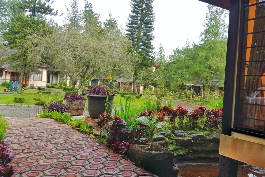 Designer Villa Tokyo Cianjur Luaran gambar