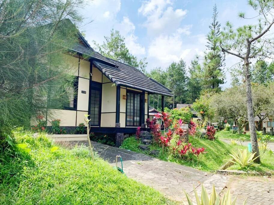 Designer Villa Tokyo Cianjur Luaran gambar