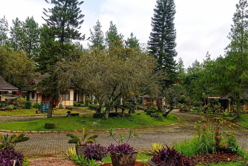 Designer Villa Tokyo Cianjur Luaran gambar