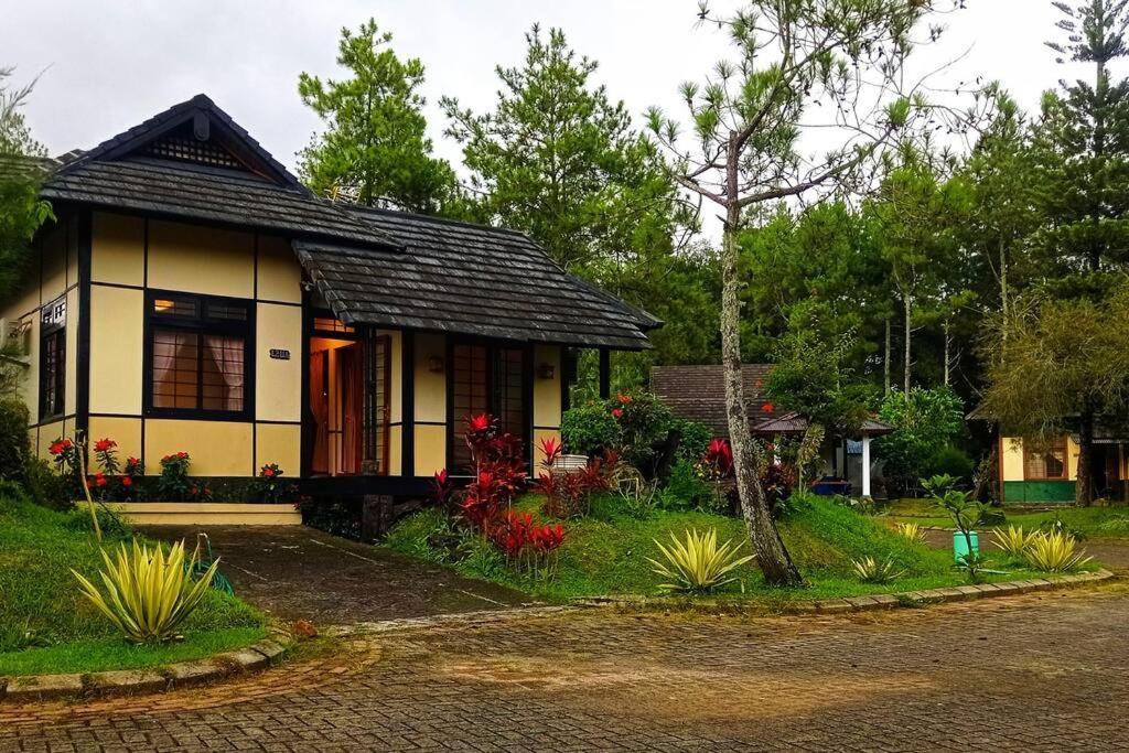 Designer Villa Tokyo Cianjur Luaran gambar